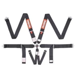 Racequip Black Sfi 16.1 Camlock Point Auto Racing Seat Belt Set Pull-up Lap New. Price: $209.95.