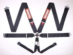 Racequip Black Sfi 16.1 Camlock Point Auto Racing Seat Belt Set Pull-down Lap New. Price: $157.95.