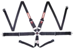 747007RQP Racequip Camlock 6 Point Hans Harness Set New. Price: $245.95.