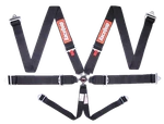 743003RQP Racequip Camlock 6 Point Harness Set New. Price: $157.95.