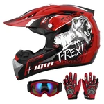 Oumurs Youth Dirt Bike Helmet Dot W/ Goggles & Gloves For Kids 5-14 Off-road New. Price: $110.93.