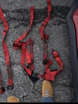 Corbeau 4 Point Seat Harness Red New. Price: $85.00.