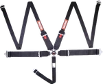 Racequip 745005RQP Point Harness Camlock Sfi 16.1 Pull Down Adjust New. Price: $229.95.