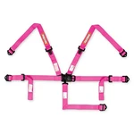 Racequip 709089RQP 5 Point Harness Latch And Link Sfi 16.2 Pull Up Adjust Pink New. Price: $137.95.