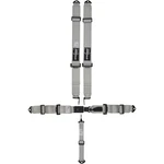 Elite Series Platinum 5 Point Harness Seat Belt Combo, Sfi 16.1 New. Price: $107.99.