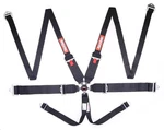 Racequip 746006RQP Point Harness Camlock Sfi 16.1 Pull Down Adjust New. Price: $245.95.