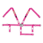 Racequip 709089RQP Latch And Link 5 Point Youth Harness, Pink New. Price: $137.95.