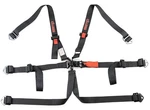 Zamp Racing 6-POINT Seat Harness W/2 In. Pull Down Belts & Latch Lock System New. Price: $109.73.