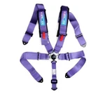 Nrg 5 Point Sfi Approved Cam Lock Seat Belt Harness Purple SBH-B6PCPP New. Price: $154.00.
