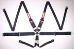 Racequip Black Sfi Camlock 6PT Pu Lap Hnr Seat Belt New. Price: $273.99.