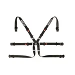 Sparco Belt 6 Pnt 2IN Formula Blk 04819H2NR New. Price: $488.62.