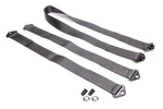 Crow Safety Gear SP-57 Tethers For Sprint Car Non-wing Chassis New. Price: $207.56.