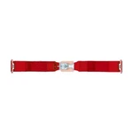 Simpson Safety 29004R 62" Latch And Link Seat Belt Bolt Pull Up - Red New. Price: $136.17.
