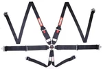 Racequip 747007RQP Point Harness Camlock Sfi 16.1 Pull Up Adjust Bolt-on/wrap New. Price: $245.95.