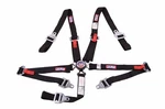 Rjs Sfi 16.1 Pt Harness Cam Lock Floor Mount 2" Bolt In Belt Black 1024501 New. Price: $131.99.
