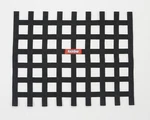 Racequip Ribbon Style Car Window Net 721005RQP New. Price: $42.60.