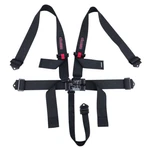 5 Point Racing Harness Seat Belts Dirt Sfi 16.1 Safety New. Price: $127.95.