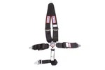 Rjs Racing Equipment 1058101 Sfi 16.1 Cam-lock Harness 3 Pull Up Lap Belt Shou New. Price: $178.62.