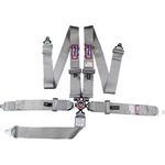 Rjs Racing Equipment 1034907 5-POINT Cam-lock Harness Grey New. Price: $187.13.
