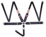 Racequip 745005RQP Point Harness Camlock Sfi 16.1 Pull Down Adjust New. Price: $229.95.