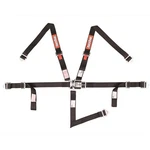 Racequip 709009RQP Latch And Link 5 Point Youth Harness, Black New. Price: $127.95.