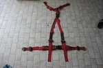 Jdm Used Willans Racing Harness Seat Belt GC8 EK9 DC2 Itr Ctr Nissan R32 Gtr. Price: $107.90.