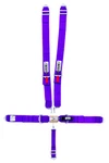 Crow Safety Gear 11005 5-POINT Harness Small Latch Purple Bolt-in New. Price: $166.27.