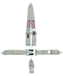 Rjs Safety 1126207 5 Point Latch & Link Harness System For Racing And New. Price: $108.44.