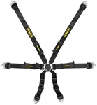 Schroth Flexi 2X2 Porsche Spyder Comes With Harness Used. Price: $1000.00.