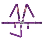 709059RQP Racequip Youth Latch & Link Point Racing Harness Set New. Price: $107.85.