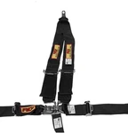 Rci 9211D 5 Point V-type Harness Bolt On Latch & Link Pull Down Adjust Black New. Price: $128.72.