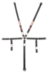 739009RQP Racequip Youth Camlock 5 Point Racing Harness Set New. Price: $199.95.