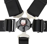 Simpson Safety 29110BKHL1X Cam Lock 5-POINT Harness Black New. Price: $357.29.