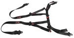 Rjs Off-road And Buggy Belts With Buckle 4002501 New. Price: $74.41.