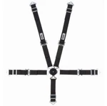 Crow Enterprizes 11174A Harness Complete Camlock 5-WAY Jr. Dragster New. Price: $225.20.