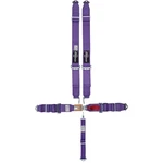 Speedway Racing Harness Purple 5-POINT Latch/link Pull-down Seat Belts Sfi 16.1 New. Price: $94.99.