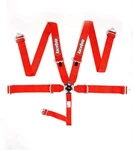 Racequip 741011RQP 5 Point Harness - Sportsman Camlock Sfi 16.1 Pull Down New. Price: $204.95.