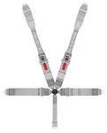 Crow Enterprizes 5-WAY Kam Lock Dog Bone Racing Restraint 11106DB New. Price: $246.99.