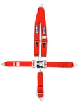Rjs Safety 1126204 5-POINT Latch And Link Harness System With Pull-down Adjust New. Price: $108.44.