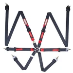 Racequip 856006RQP 6PT Camlock Harness Black 2" Lap/shoulders Hans Fia 8853-16 New. Price: $231.29.