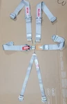 Simpson Seat Belt Harness 29056SP 6-POINT Platinum Latch & Link *date Mar 2013* New. Price: $128.99.