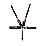 Simpson 29112BK Lever Camlock 5-POINT Individual Harness New. Price: $306.95.