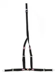 Rjs Safety Buggy Belt 4 Point Harness With Push Button Buckle, Black New. Price: $74.41.