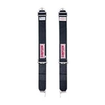 Simpson Hans Latch Belts Used. Price: $31.99.