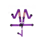 711051RQP Racequip Latch & Link Point Harness Set New. Price: $137.95.