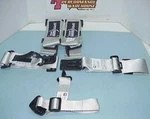 New Speedway Elite Series Platinum 5 Point Harness Seat Belt Combo #910729. Price: $70.00.