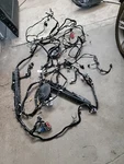 2017 Ford Mustang Coupe Interior Body Wiring Harness HR3T-14A005-PB Oem Used. Price: $500.00.