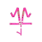 Racequip 711081 Pink Car Seat Belts 5PT Sfi Safety Harness New. Price: $134.89.