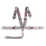 Rjs Racing Equipment 1031707 5-POINT Cam-lock Harness Grey New. Price: $182.87.