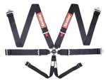 Racequip 743003 Pull Down Racing Harness Sfi 16.1 Certified Black Point Camloc New. Price: $157.95.